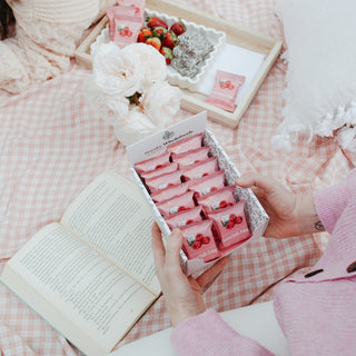 Box of Sneaky Wholefoods Raspberry Lamington Nourish Bites being taken to a picnic, a perfect plant-based, gluten-free, nutrient-dense snack made from wholefoods for sharing with friends